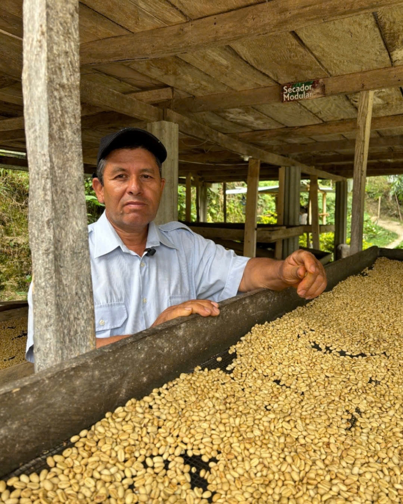 AMAZING Gesha/ Chili Bourbon/ Chiroso Colom Coffee - BEANSLINK Project