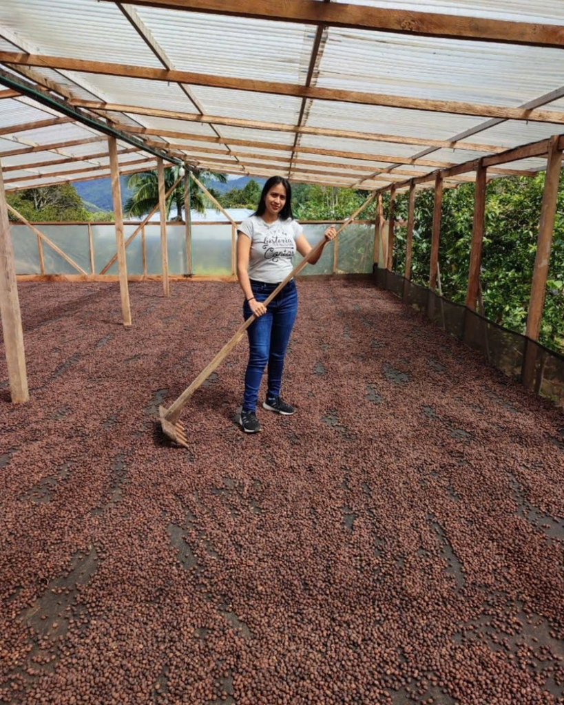 AMAZING Gesha/ Chili Bourbon/ Chiroso Colom Coffee - BEANSLINK Project