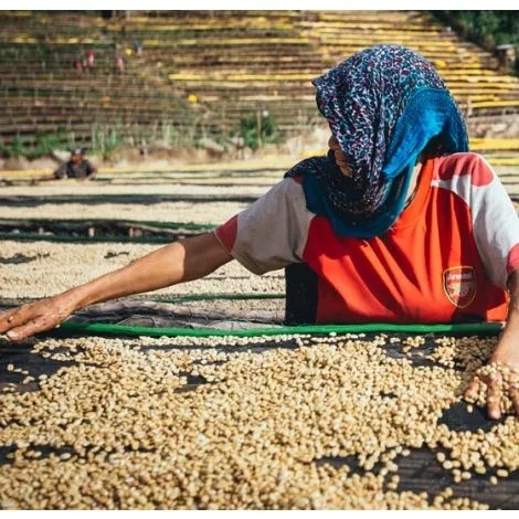 Guji Yabito Tome g1 - Stupiducks Specialty Coffee ( SSC Roaster)