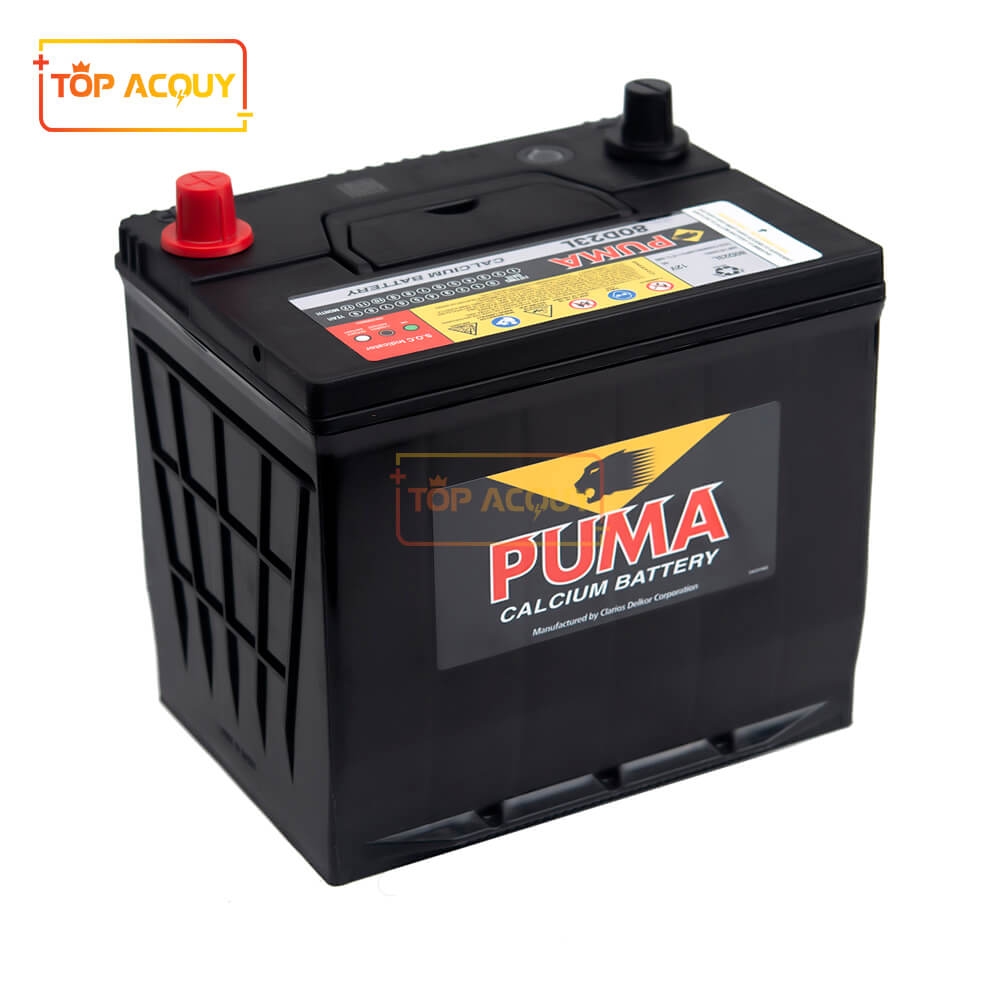BÌNH ẮC QUY PUMA 12V 65AH 80D23L