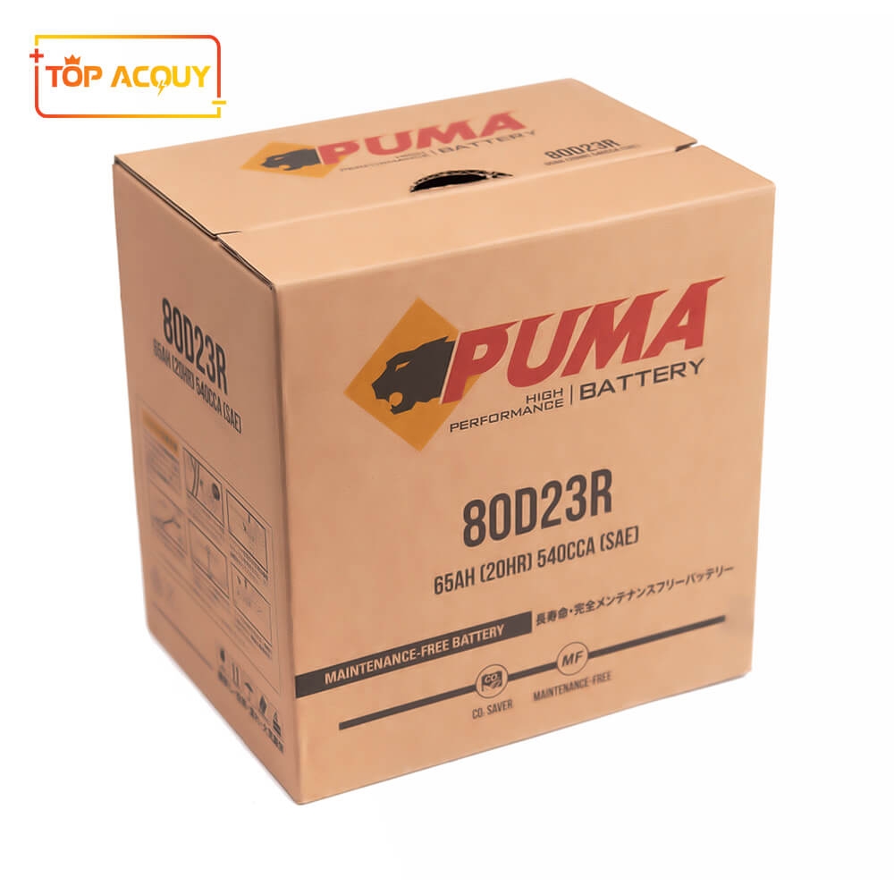 BÌNH ẮC QUY PUMA 12V- 65AH 80D23R