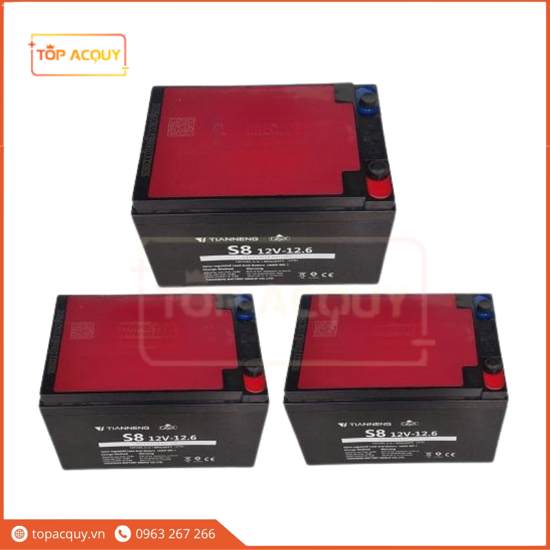 BÌNH ẮC QUY XE MÁY ĐIỆN THIÊN NĂNG (TIANNENG) S8 12V-12.6Ah
