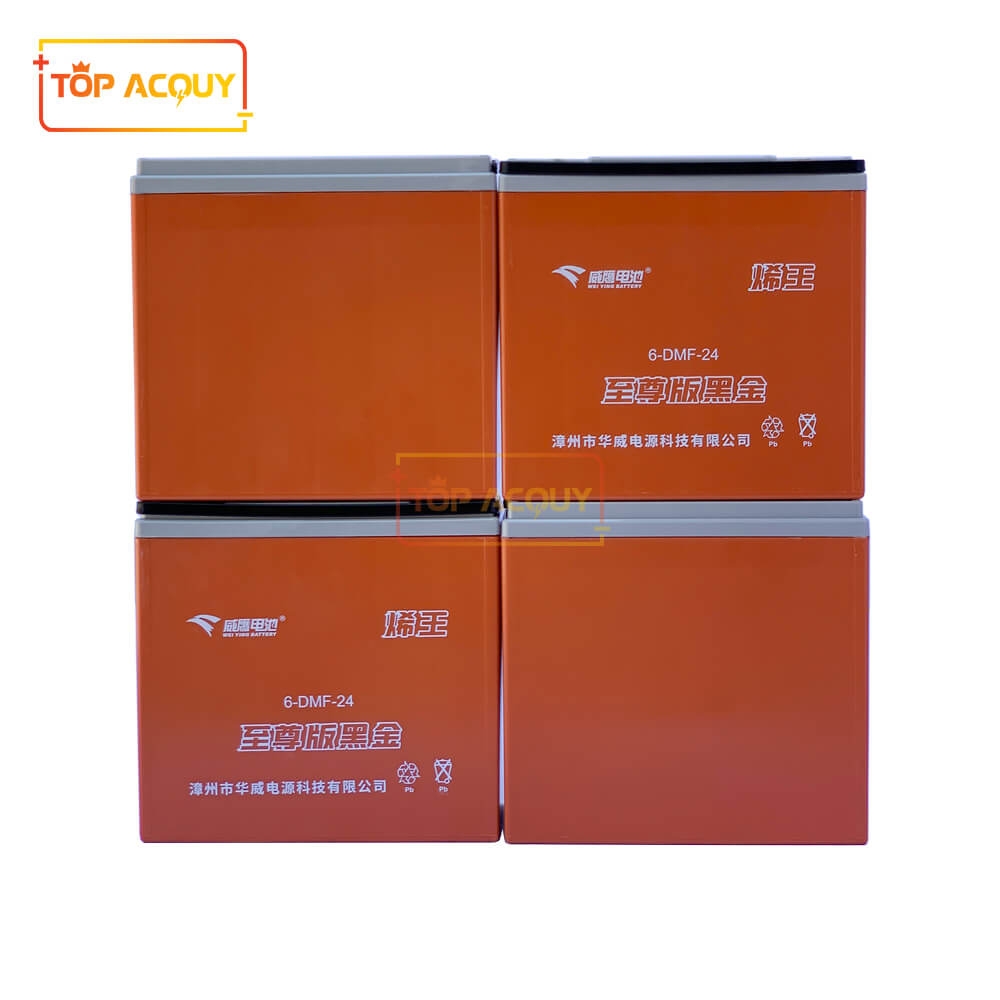ẮC QUY XE MÁY ĐIỆN WEIJING 6-DMF-24 48V-24AH