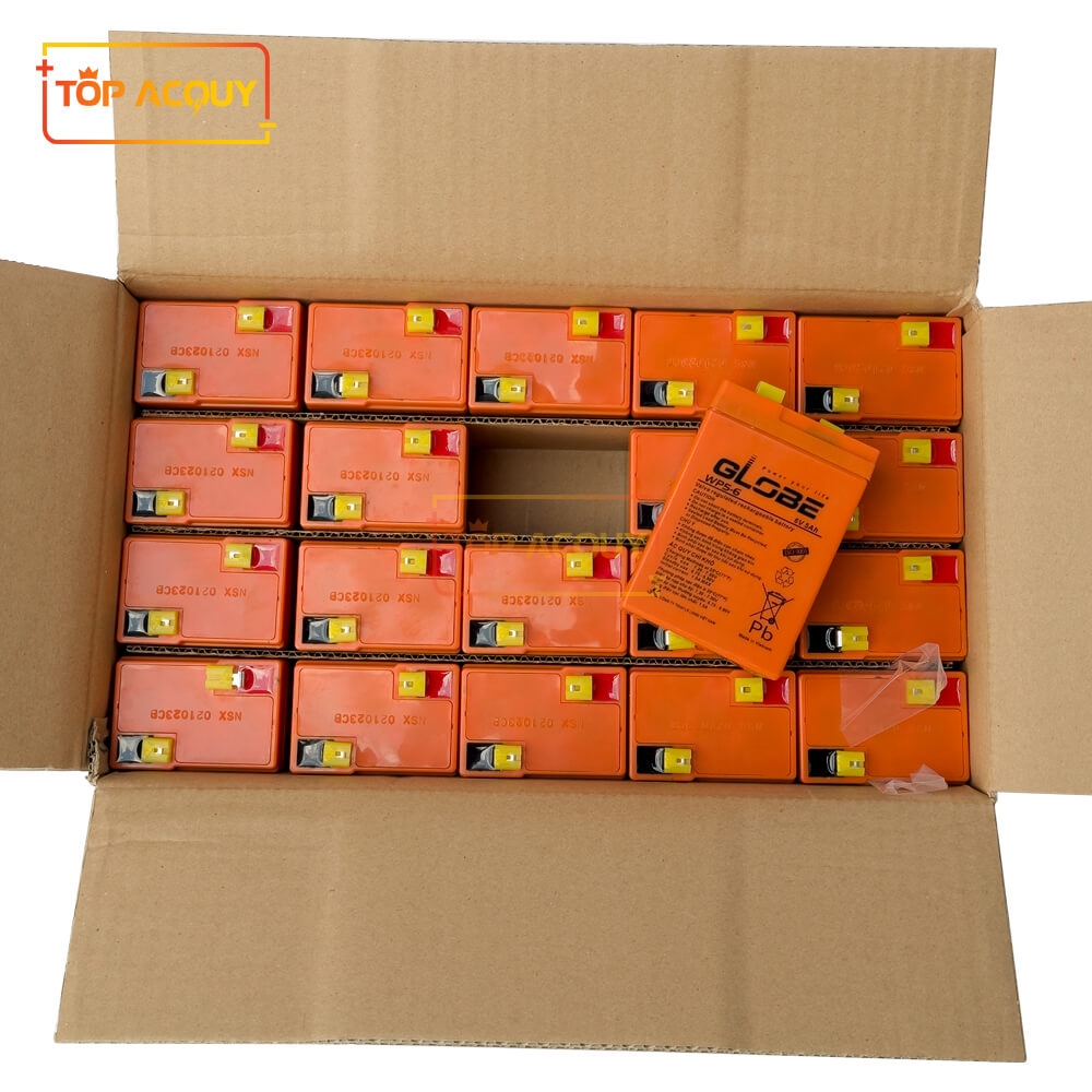 ẮC QUY GLOBE 6V - 5AH (WP5-6)