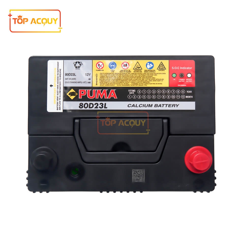 BÌNH ẮC QUY PUMA 12V 65AH 80D23L