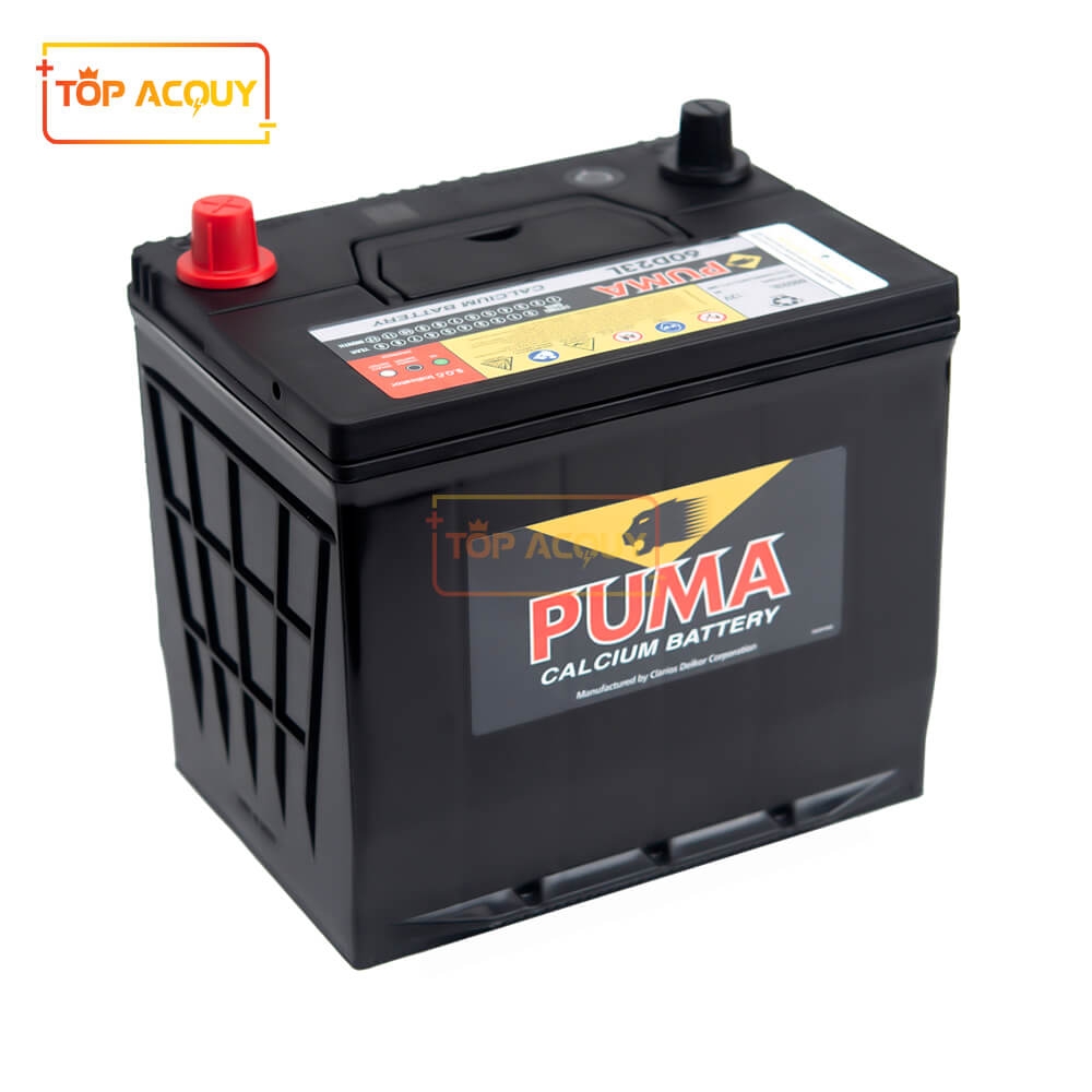 BÌNH ẮC QUY Ô TÔ PUMA 12V - 60AH 60D23L