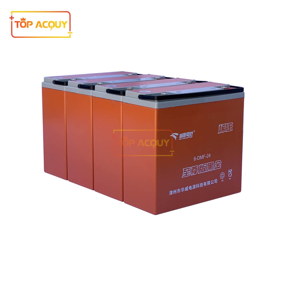 ẮC QUY XE MÁY ĐIỆN WEIJING 6-DMF-24 48V-24AH
