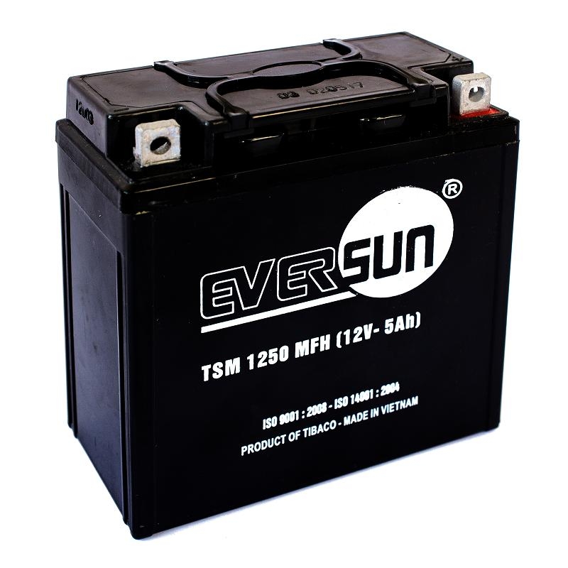 ẮC QUY EVERSUN 12V - 5AH TSM1250MFH