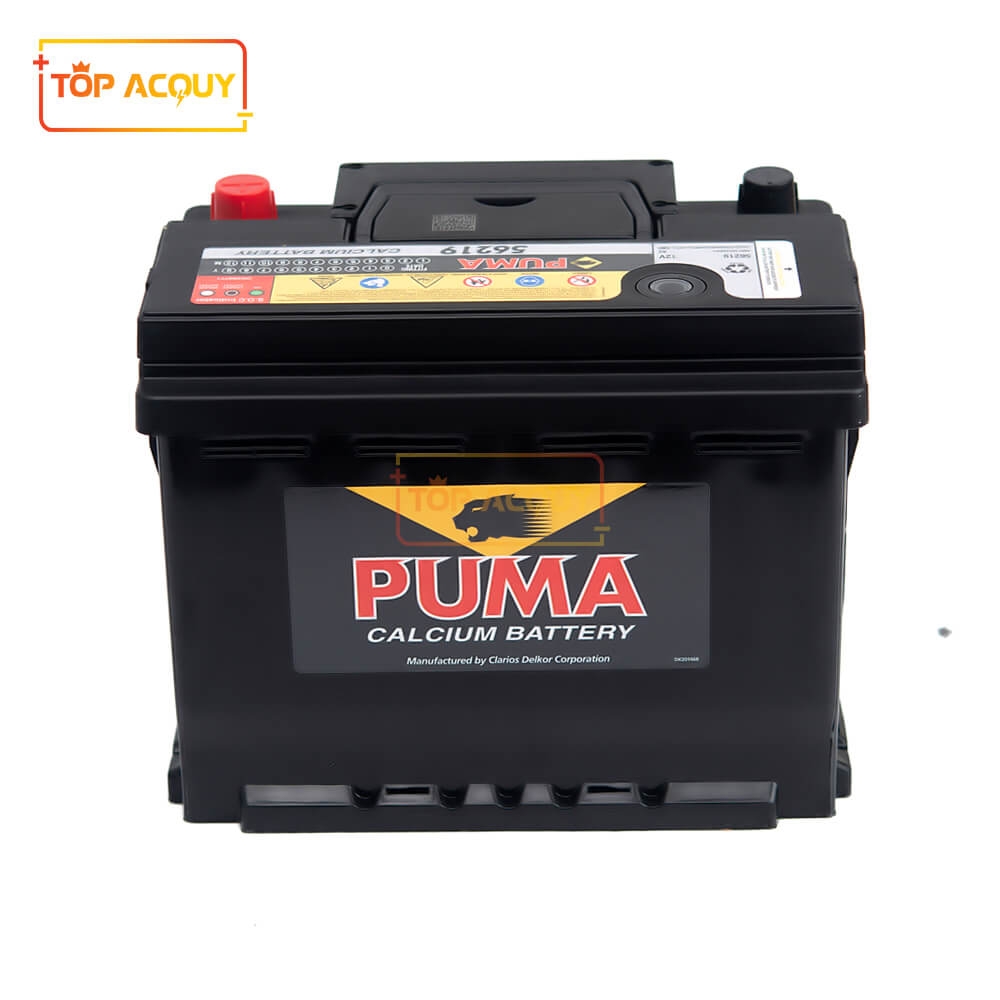 BÌNH ẮC QUY PUMA 12V - 62AH 56219 DIN60(L)