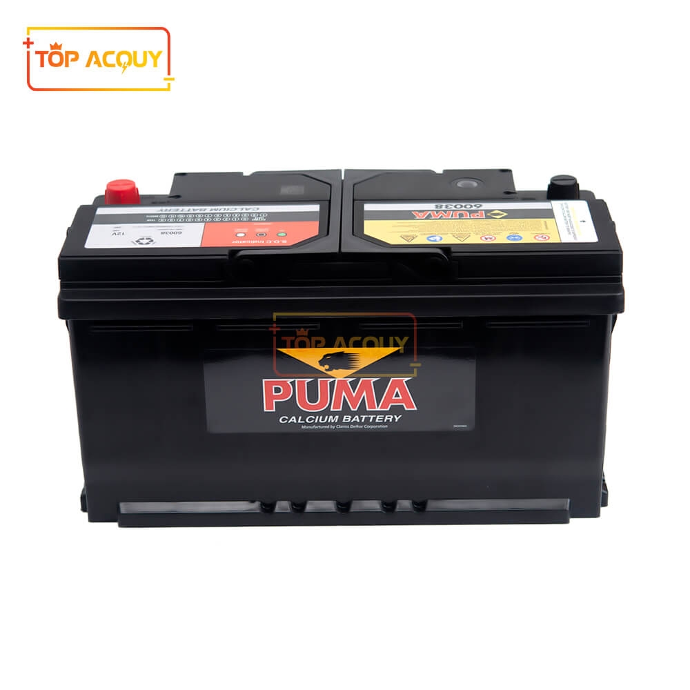 BÌNH ẮC QUY PUMA 12V - 100AH 60038 (DIN100)