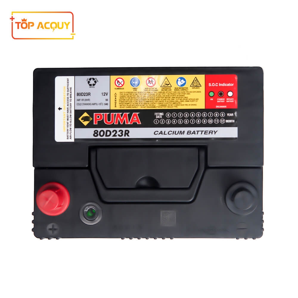 BÌNH ẮC QUY PUMA 12V- 65AH 80D23R
