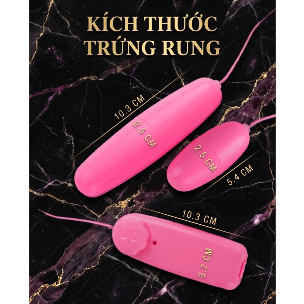 Trứng rung 2 đầu