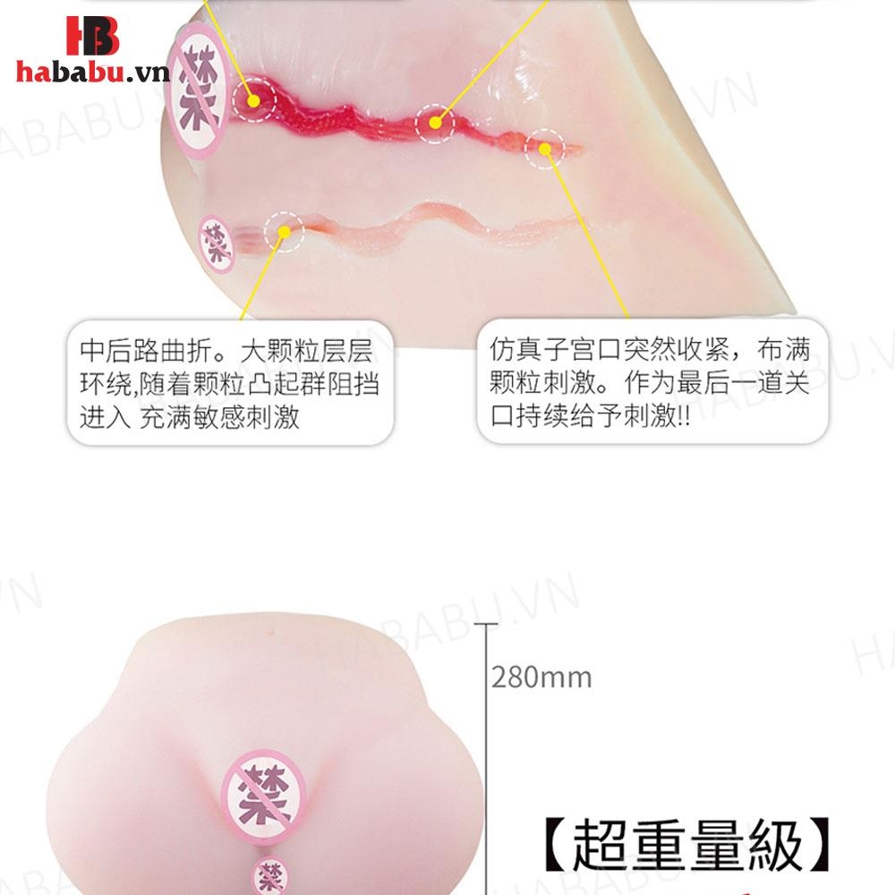 Âm đạo giả nguyên khối Drywell Mizuki Akane 5kg chính hãng