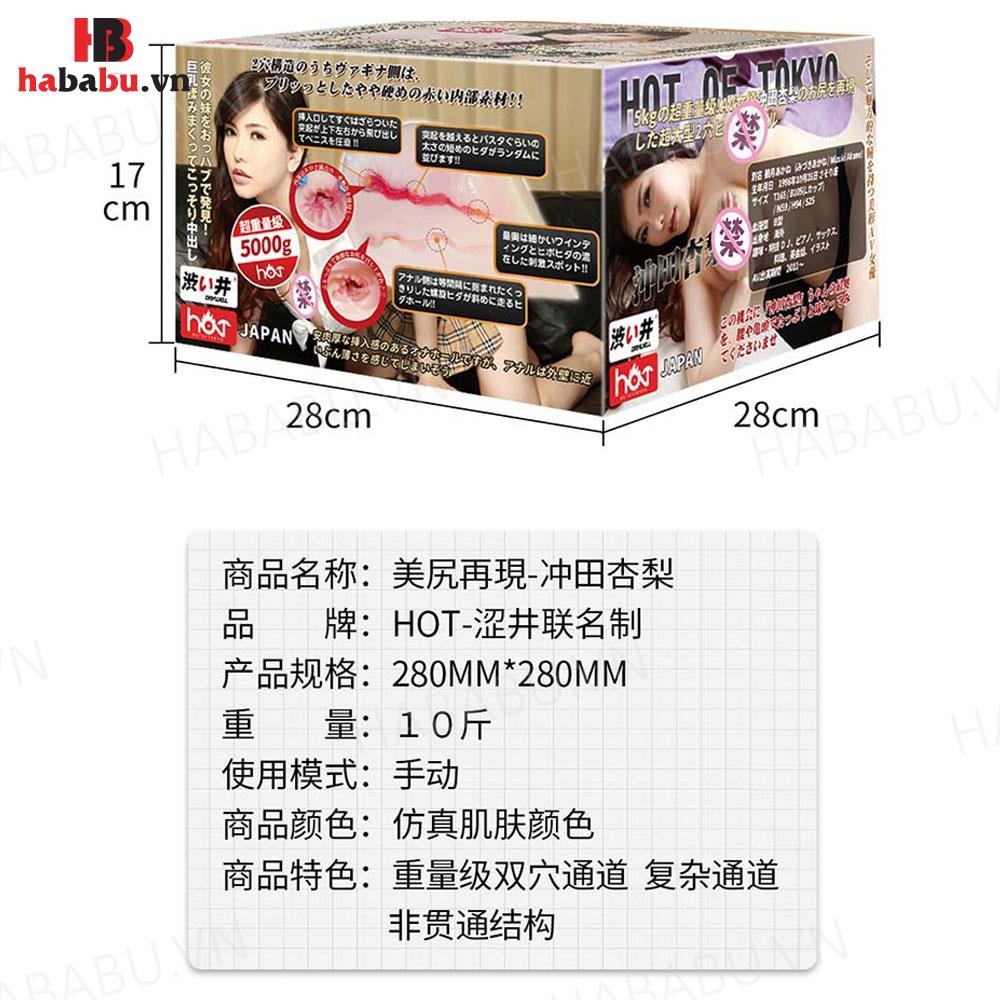Âm đạo giả nguyên khối Drywell Mizuki Akane 5kg chính hãng