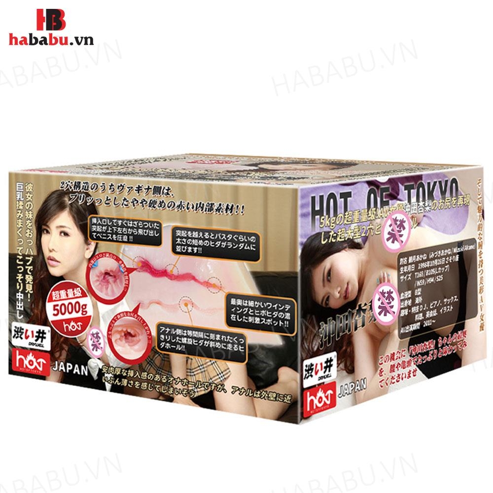 Âm đạo giả nguyên khối Drywell Mizuki Akane 5kg chính hãng