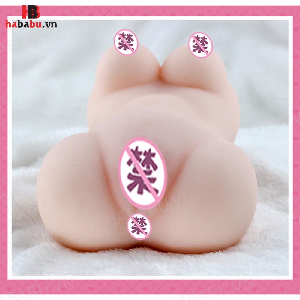 Âm đạo giả nguyên khối Drywell Mizuki Akane 1.2kg chính hãng
