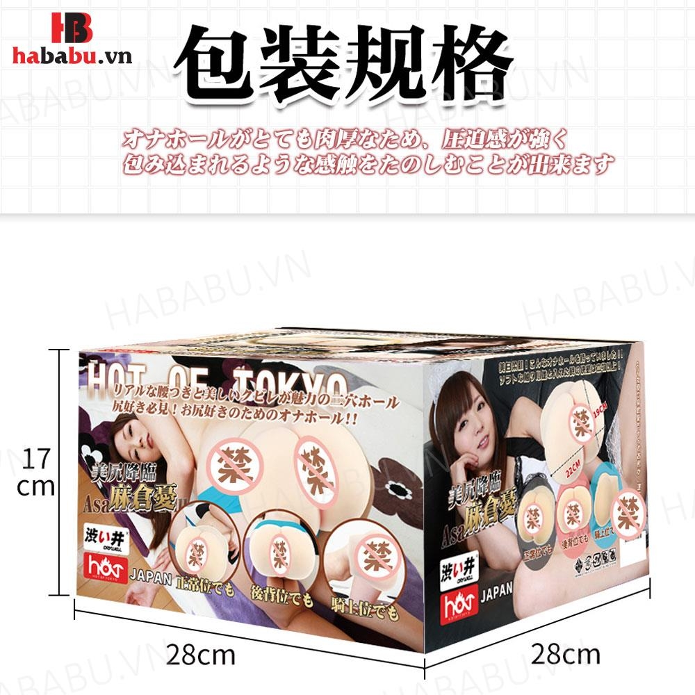 Âm đạo giả nguyên khối Drywell Asakura Yuu 3.6kg chính hãng