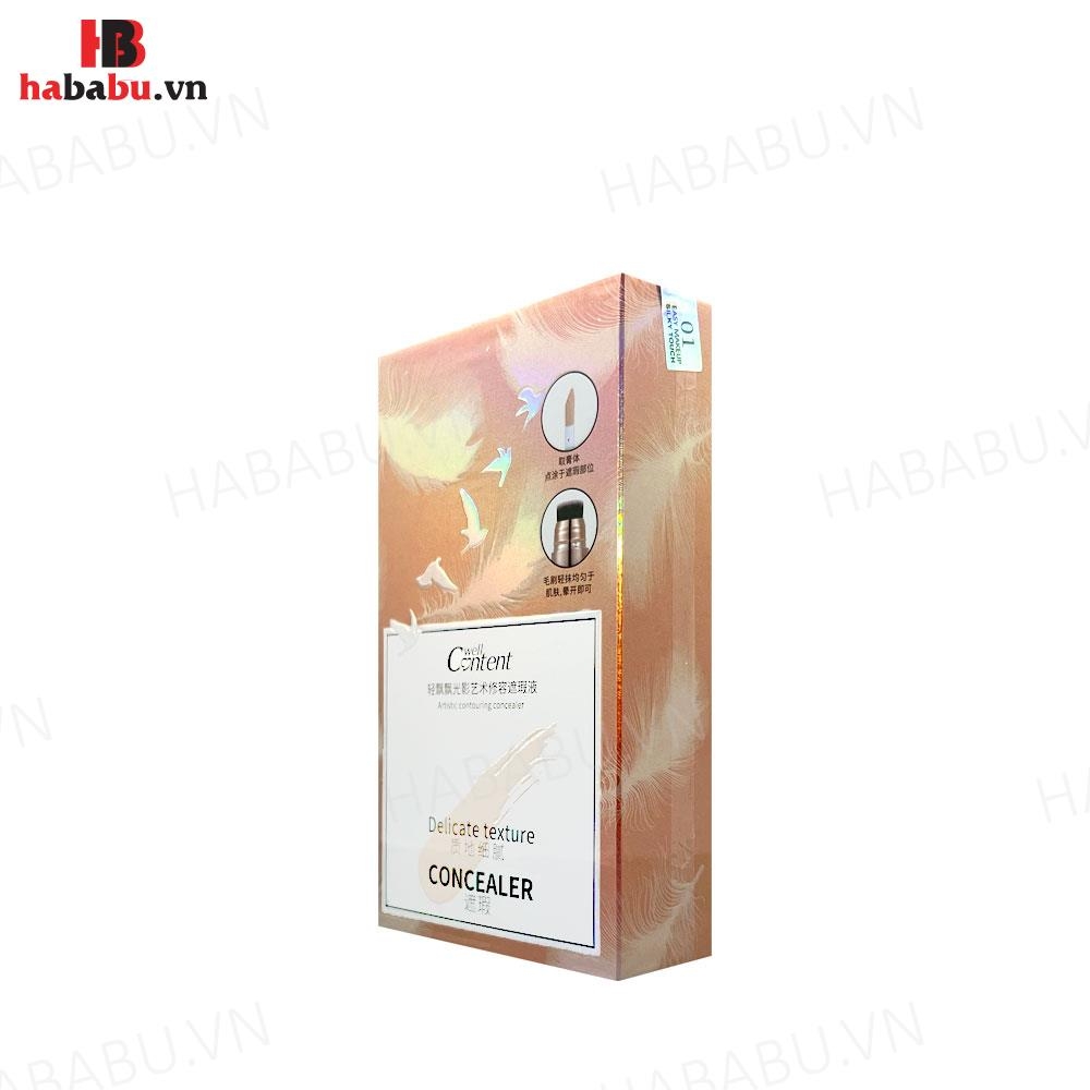 Kem che khuyết điểm Delicate Texture Concealer 2 Đầu 18ml chính hãng