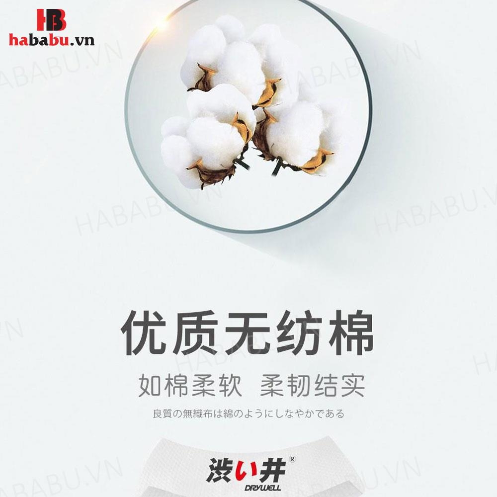 Khăn lau chống xuất tinh sớm Drywell Delay Wipes chính hãng