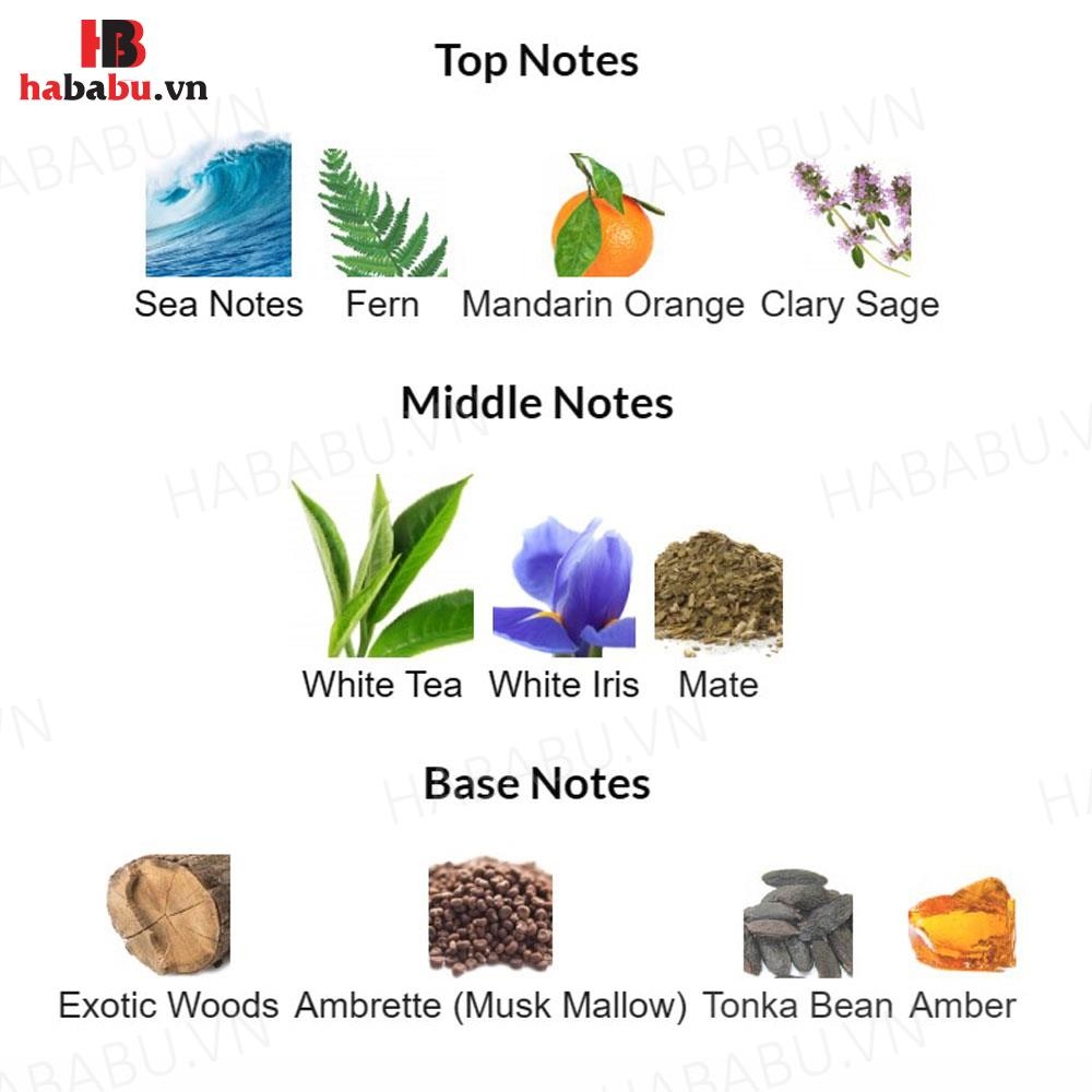 Nước hoa nữ Elizabeth Arden White Tea EDT 100ml chính hãng