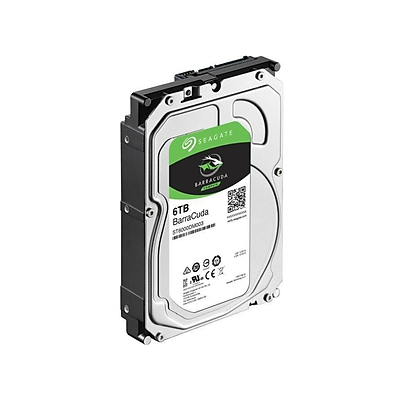 SEAGATE IronWolf ST6000VN001 Dung lượng 6000GB (6TB) 3.5