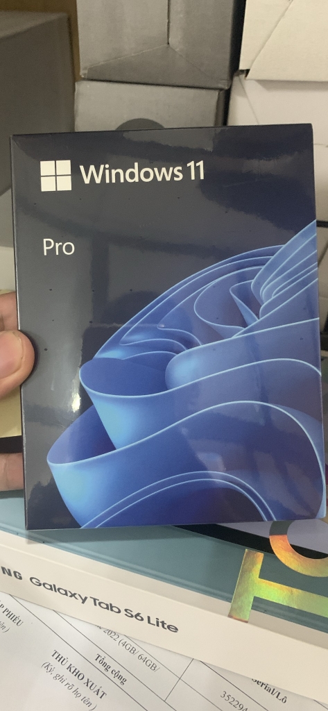Phần mềm Windows 11 Pro FPP 64-BIT ENG INTL USB (HAV-00163)