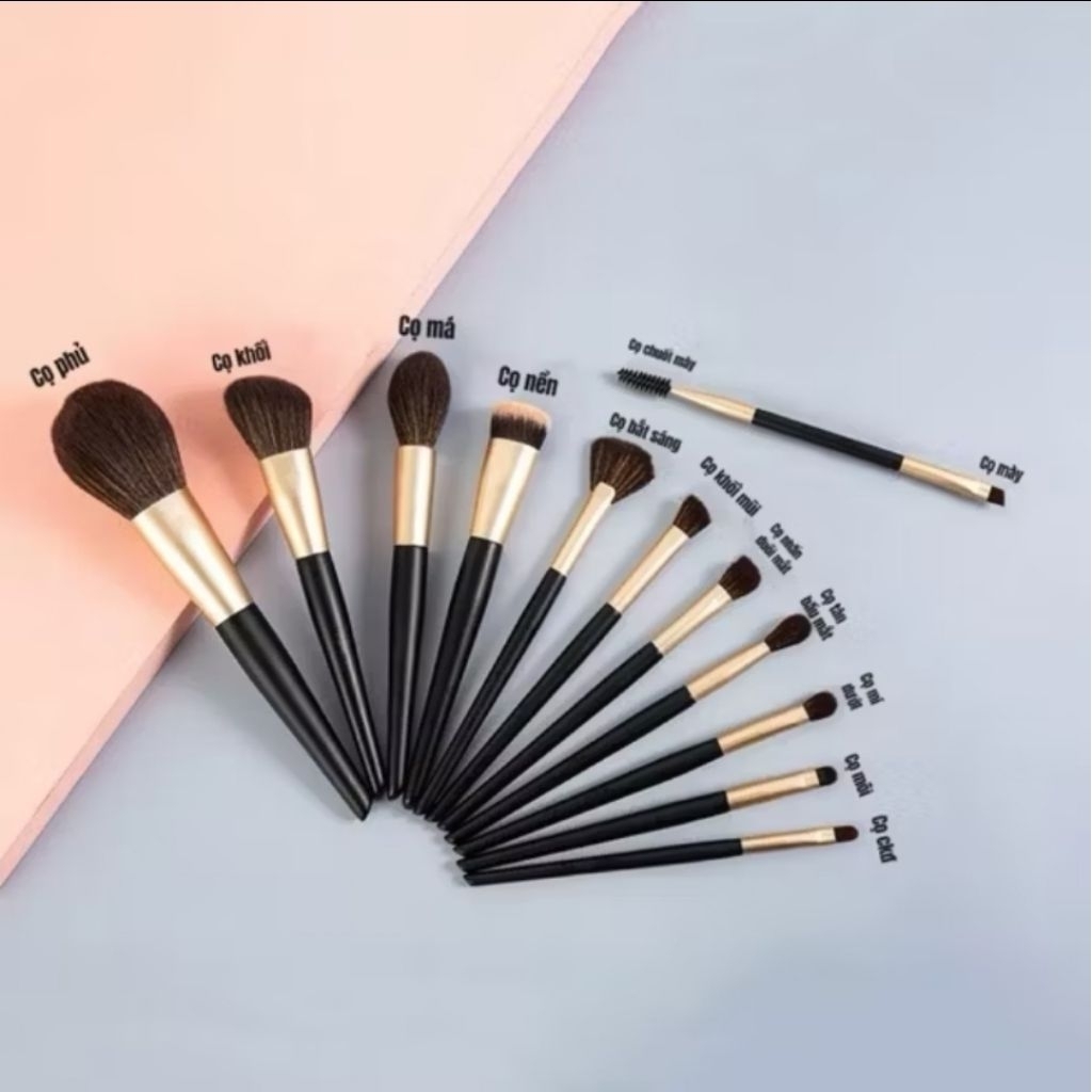 Bộ 12 Cọ Trang Điểm Kèm Túi Đựng Amora Makeup Brush Set BS01