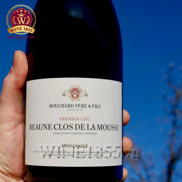 Rượu vang Pháp Bouchard Père & Fils Beaune Clos De La Mousse Premier Cru - Monopole