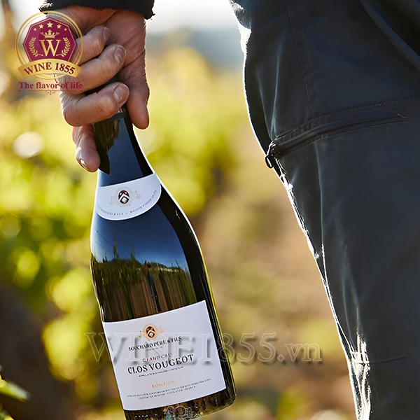 Rượu Vang Pháp Bouchard Père & Fils Clos Vougeot Grand Cru