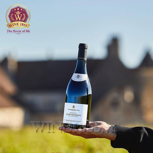 Rượu Vang Pháp Bouchard Père & Fils Clos Vougeot Grand Cru