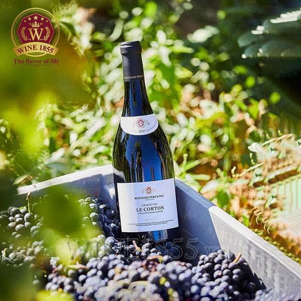 Rượu Vang Pháp Bouchard Père & Fils Le Corton Grand Cru