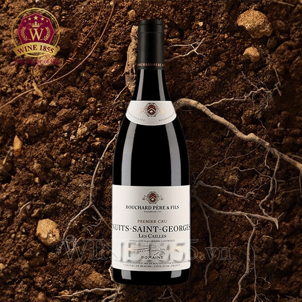 Rượu Vang Pháp Bouchard Père & Fils Nuits-Saint-Georges Les Cailles Premier Cru