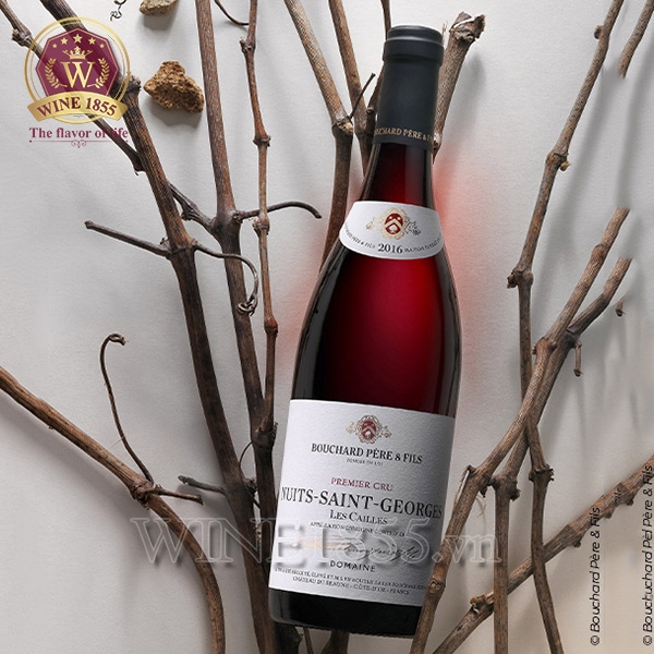 Rượu Vang Pháp Bouchard Père & Fils Nuits-Saint-Georges Les Cailles Premier Cru
