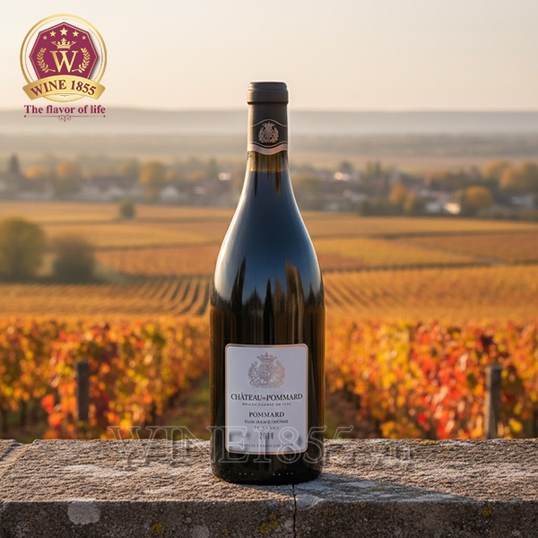 Rượu vang Pháp Château De Pommard Clos Marey-Monge 75 Rangs