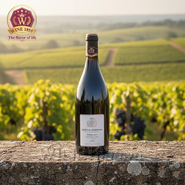 Rượu vang Pháp Château De Pommard Clos Marey-Monge Chantrerie