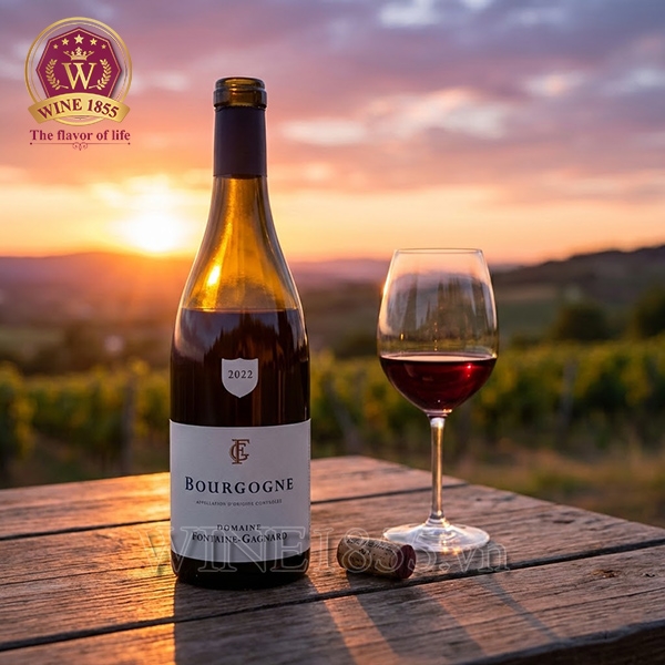 Rượu Vang Pháp Domaine Fontaine-Gagnard Bourgogne
