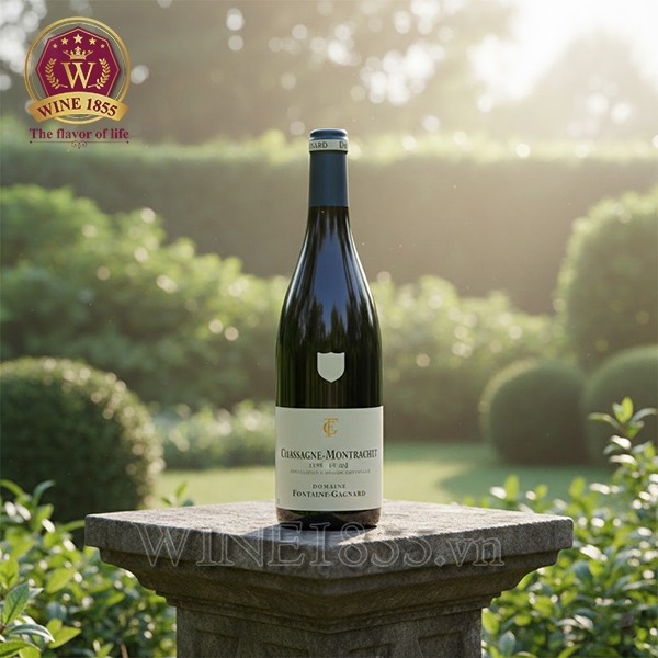 Rượu Vang Pháp Domaine Fontaine-Gagnard Chassagne-Montrachet