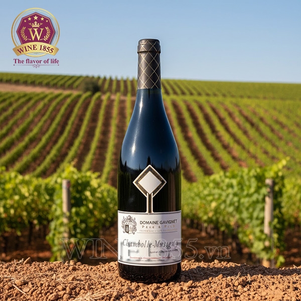 Rượu Vang Pháp Domaine Gavignet Chambolle Musigny Rouge