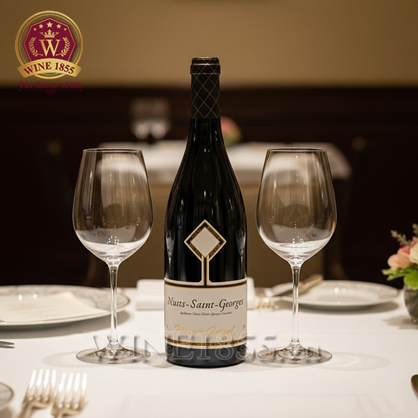 Rượu Vang Pháp Domaine Gavignet Nuits St Georges 1er Cru Les Chaignots