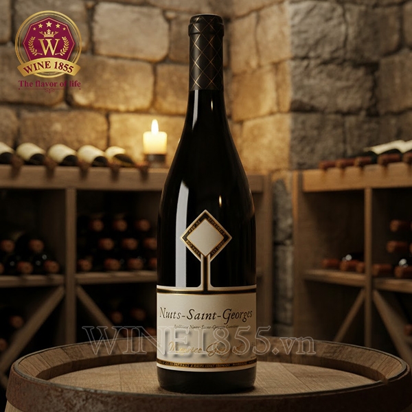 Rượu Vang Pháp Domaine Gavignet Nuits St Georges 1er Cru Les Chaignots