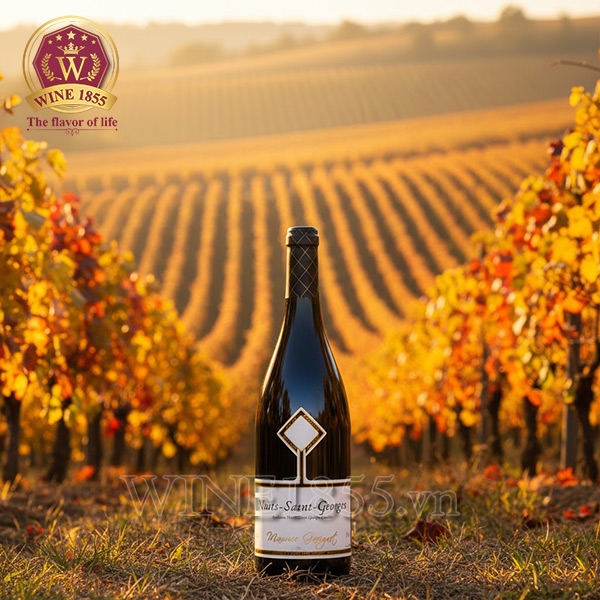 Rượu Vang Pháp Domaine Gavignet Nuits St Georges 1er Cru Les Chaignots