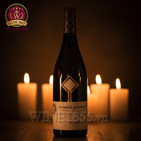 Rượu Vang Pháp Domaine Gavignet Pommard