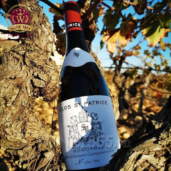 Rượu Vang Pháp Domaine St Patrice Clos St Patrice