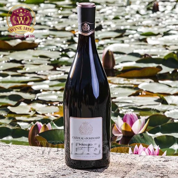 Rượu Vang Pháp Famille Carabello Baum Château De Pommard Clos Marey Monge Micault