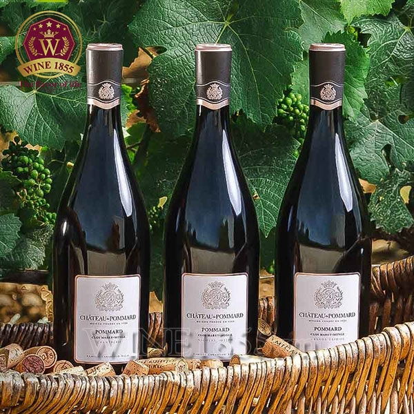 Rượu Vang Pháp Famille Carabello Baum Château De Pommard Clos Marey Monge Micault