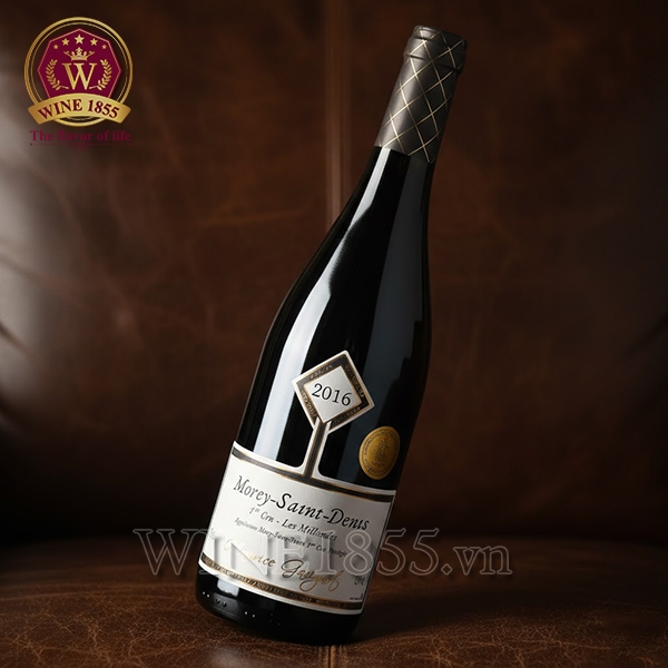 Rượu Vang Pháp Maurice Gavignet Morey-Saint-Denis 1er Cru Les Millandes
