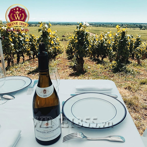 Rượu vang Pháp Bouchard Père & Fils Chevalier-Montrachet 2019