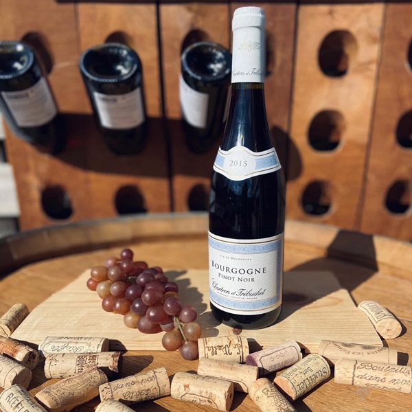 Rượu Vang Pháp Chartron et Trébuchet Bourgogne Pinot Noir 2021