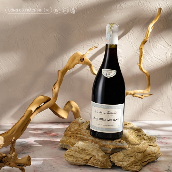 Rượu Vang Pháp Chartron et Trébuchet Chambolle-Musigny 2017