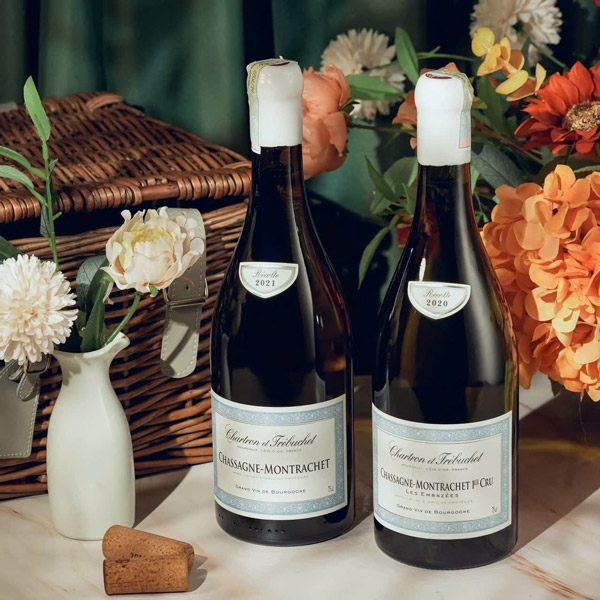 Rượu Vang Pháp Chartron et Trébuchet Chassagne-Montrachet 2021